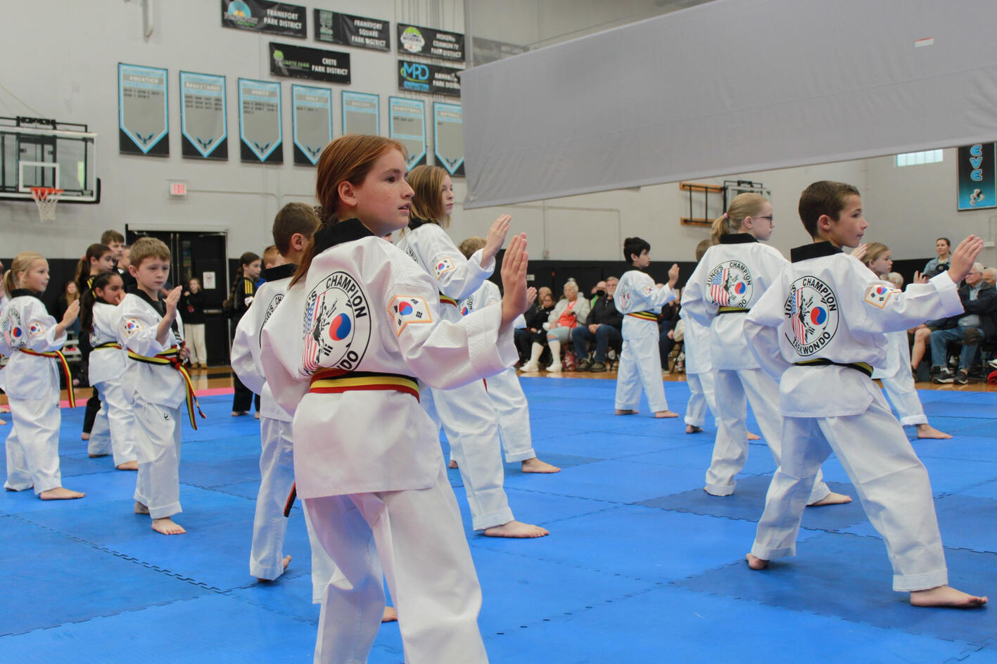 a large group of students performing blocks and strikes in unison
